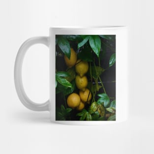 Italian restaurant lemon art Mug